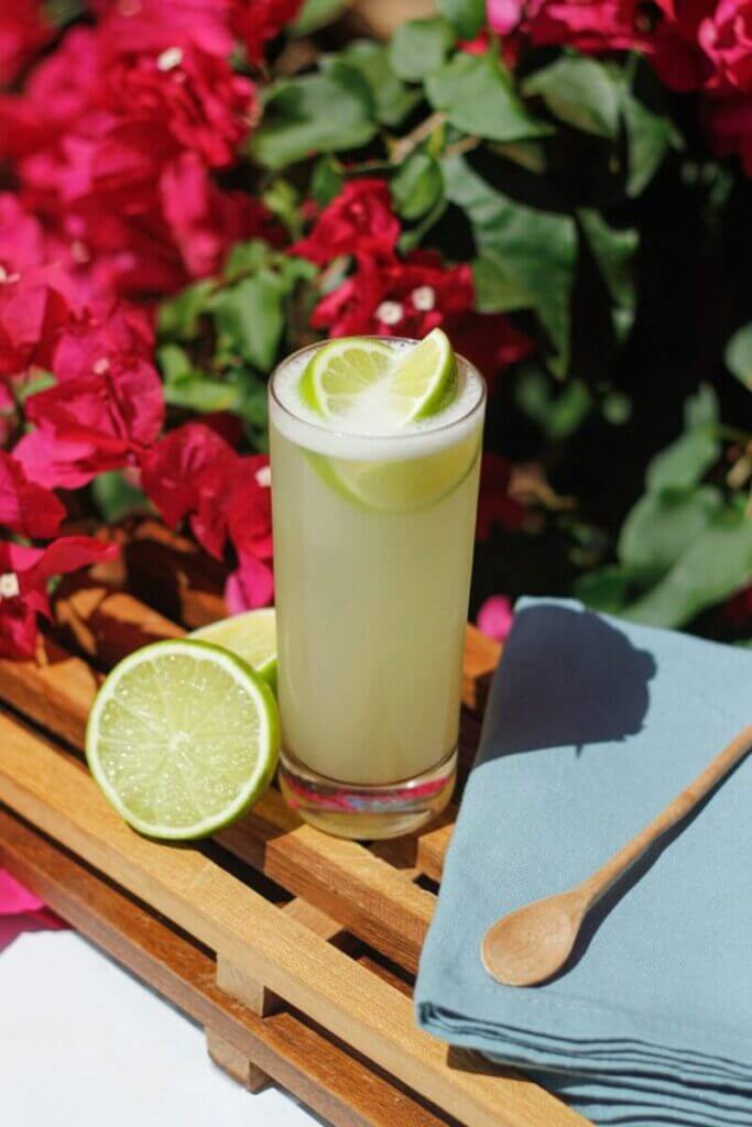 Gin Rickey